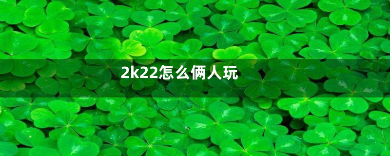 2k22怎么俩人玩