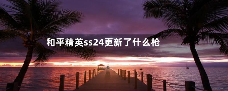 和平精英ss24更新了什么枪