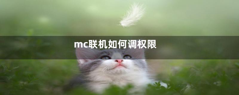 mc联机如何调权限