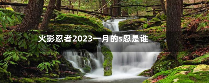 火影忍者2023一月的s忍是谁