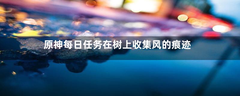 原神每日任务在树上收集风的痕迹