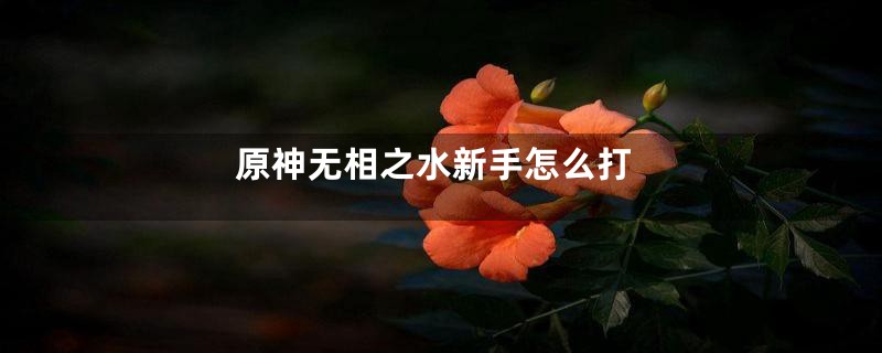 原神无相之水新手怎么打