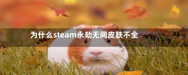 为什么steam永劫无间皮肤不全