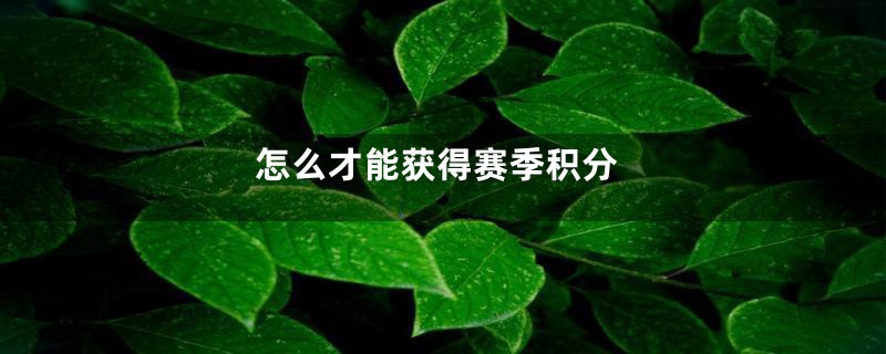 怎么才能获得赛季积分