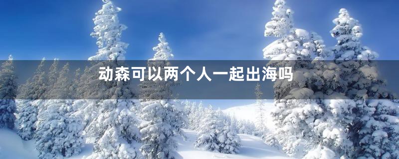 动森可以两个人一起出海吗