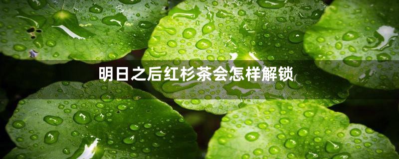 明日之后红杉茶会怎样解锁