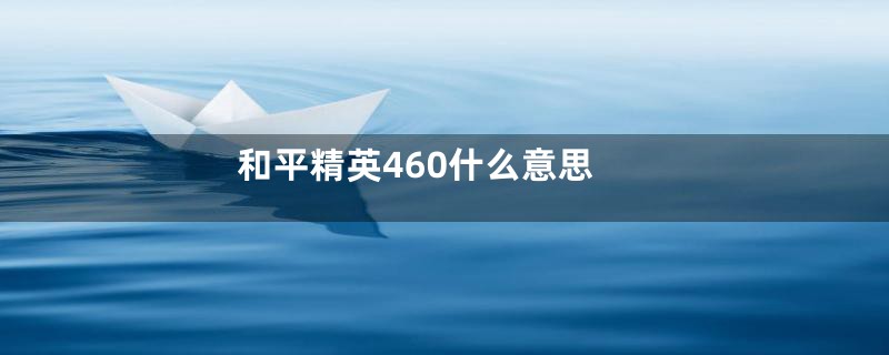 和平精英460什么意思