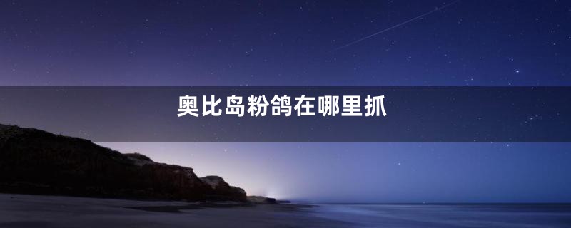 奥比岛粉鸽在哪里抓