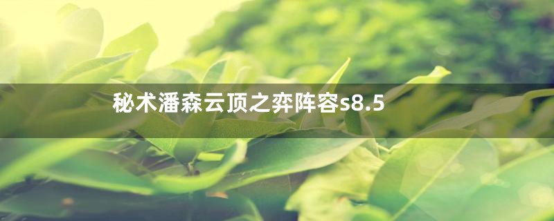 秘术潘森云顶之弈阵容s8.5