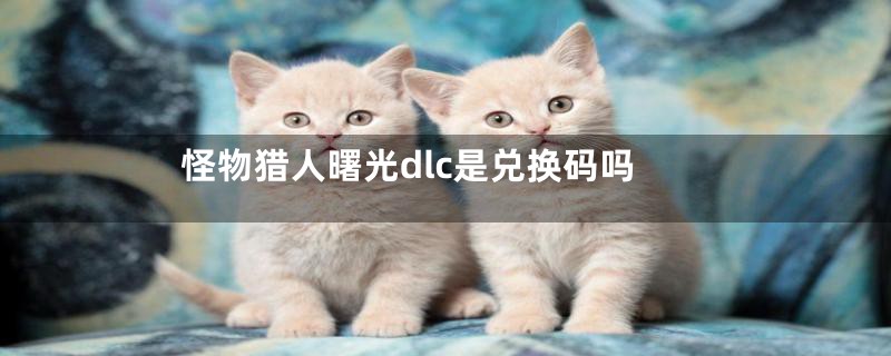 怪物猎人曙光dlc是兑换码吗