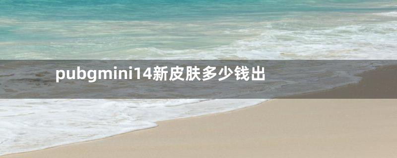 pubgmini14新皮肤多少钱出