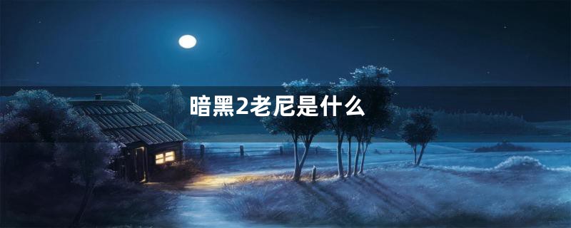 暗黑2老尼是什么