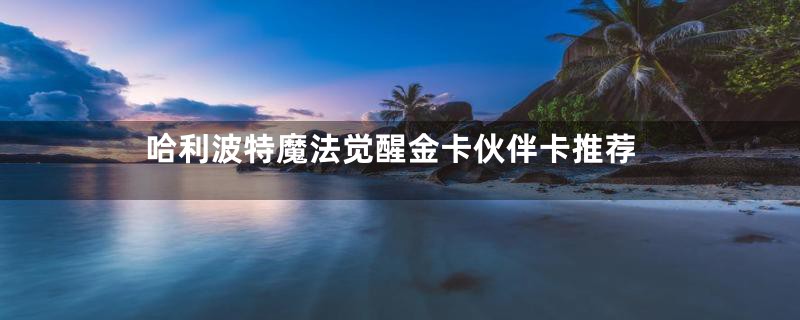 哈利波特魔法觉醒金卡伙伴卡推荐