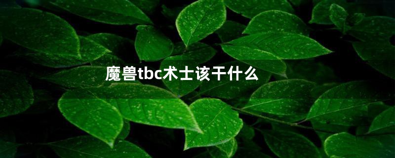 魔兽tbc术士该干什么