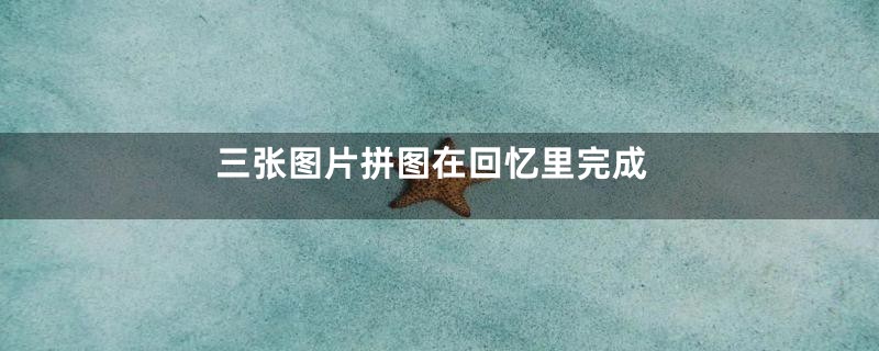 三张图片拼图在回忆里完成