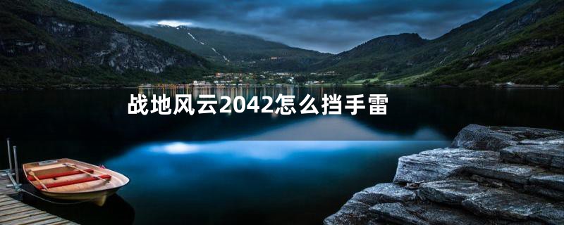 战地风云2042怎么挡手雷