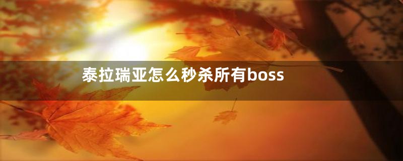 泰拉瑞亚怎么秒杀所有boss