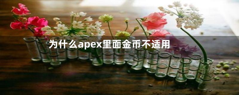 为什么apex里面金币不适用