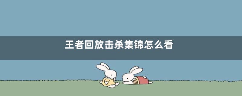 王者回放击杀集锦怎么看