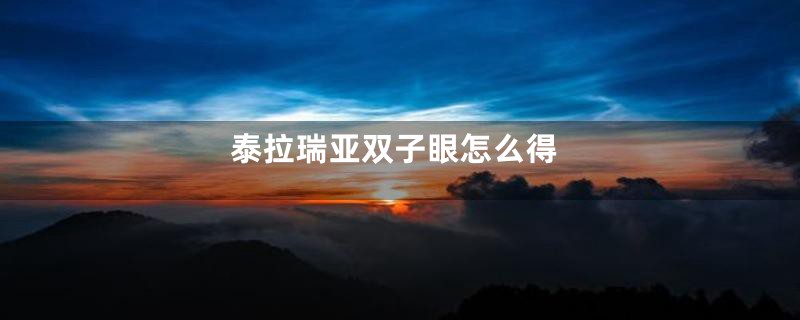 泰拉瑞亚双子眼怎么得