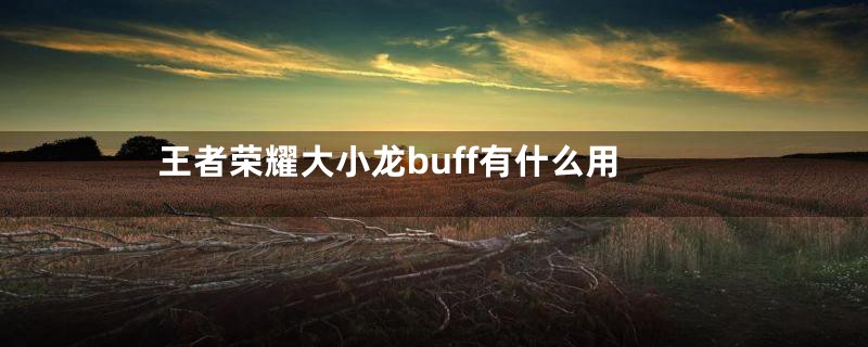 王者荣耀大小龙buff有什么用