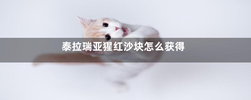 泰拉瑞亚猩红沙块怎么获得