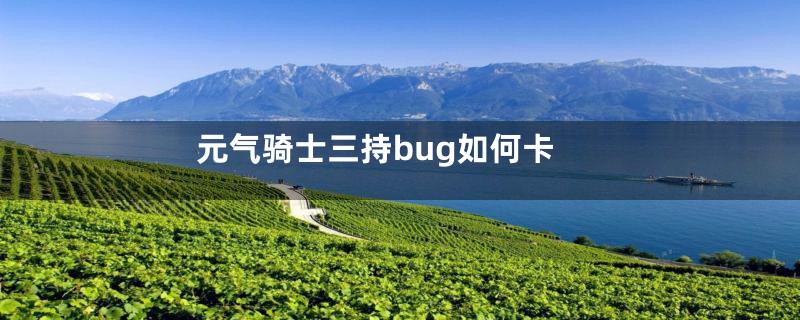 元气骑士三持bug如何卡