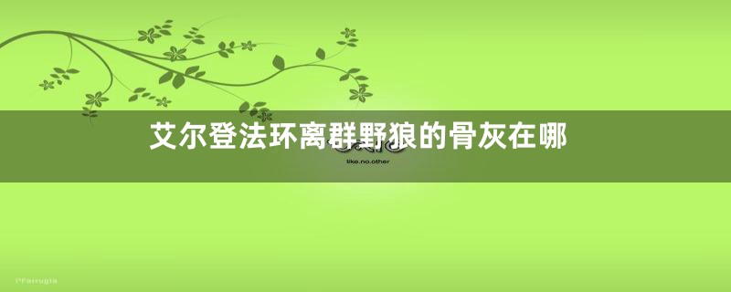 艾尔登法环离群野狼的骨灰在哪