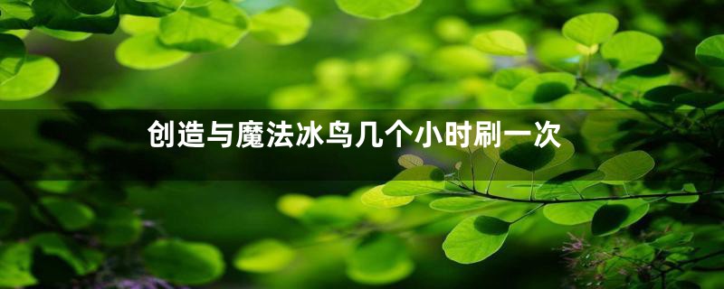 创造与魔法冰鸟几个小时刷一次