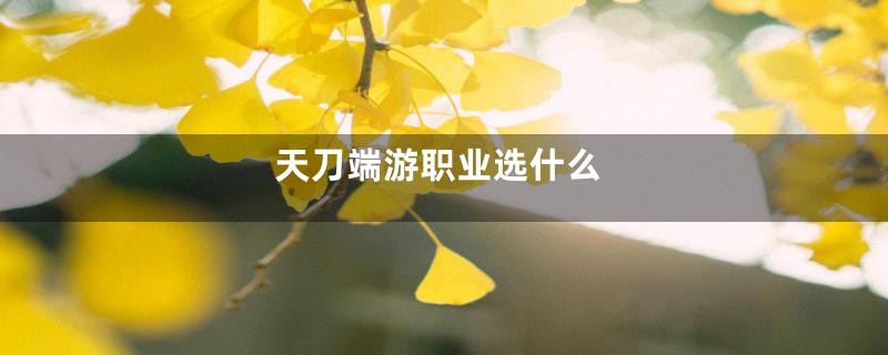 天刀端游职业选什么