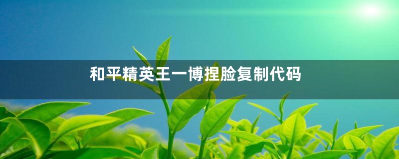 和平精英王一博捏脸复制代码