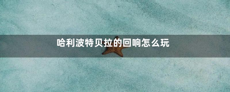 哈利波特贝拉的回响怎么玩