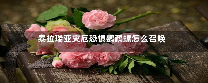 泰拉瑞亚灾厄恐惧鹦鹉螺怎么召唤