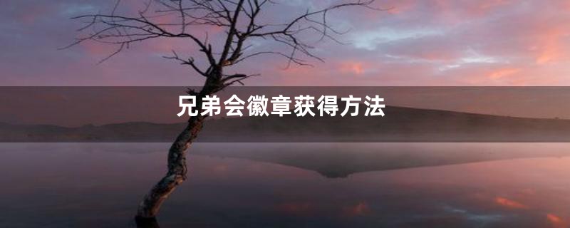 兄弟会徽章获得方法