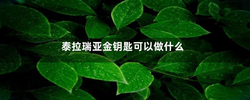 泰拉瑞亚金钥匙可以做什么