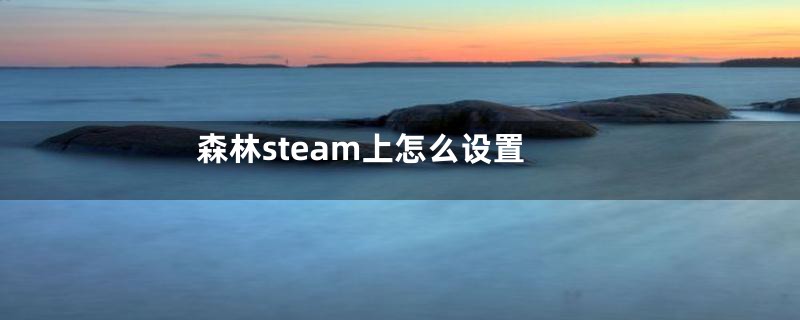 森林steam上怎么设置