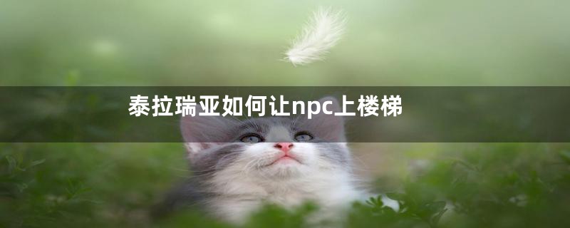 泰拉瑞亚如何让npc上楼梯