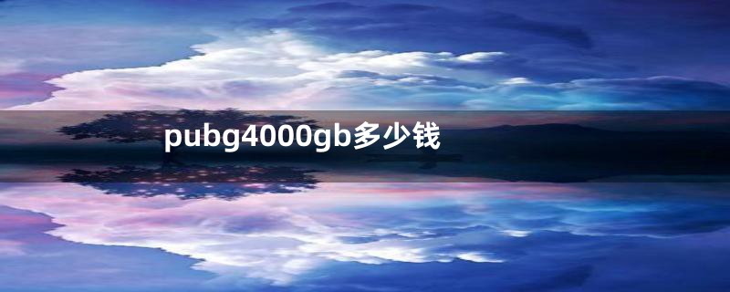 pubg4000gb多少钱