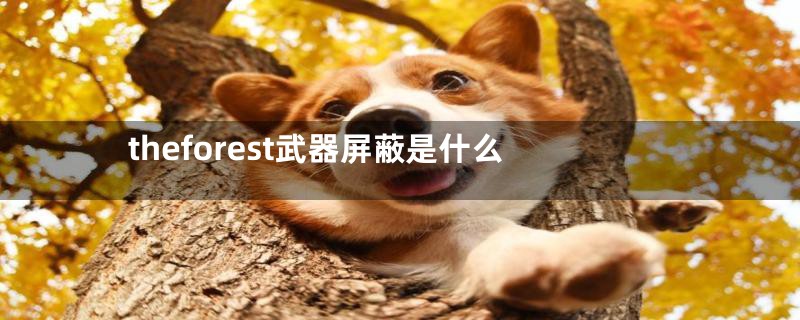 theforest武器屏蔽是什么