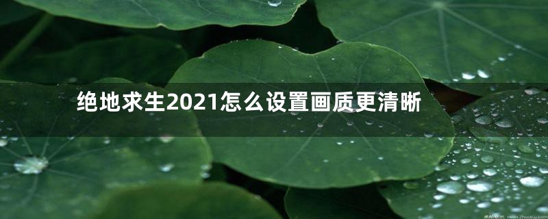 绝地求生2021怎么设置画质更清晰