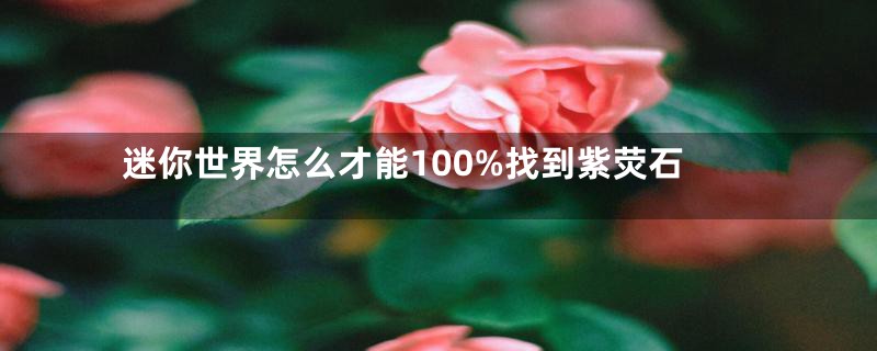 迷你世界怎么才能100%找到紫荧石