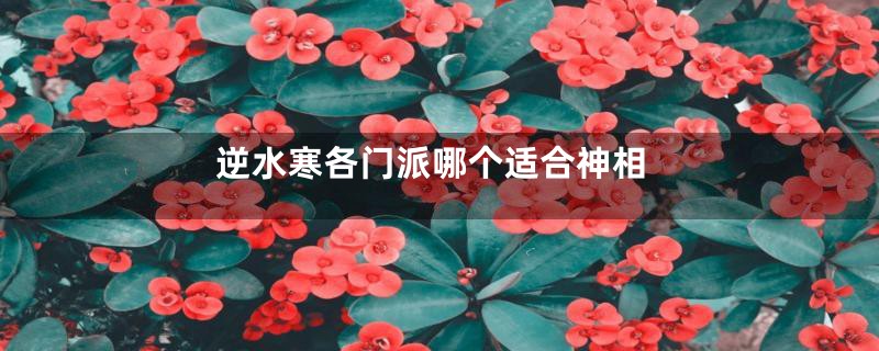 逆水寒各门派哪个适合神相