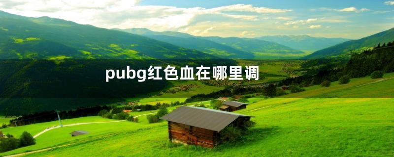 pubg红色血在哪里调