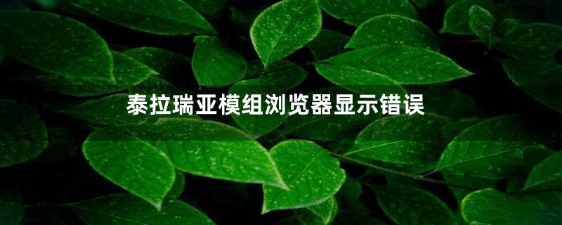 泰拉瑞亚模组浏览器显示错误