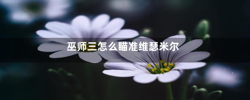 巫师三怎么瞄准维瑟米尔