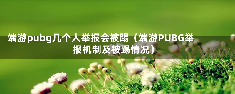 端游pubg几个人举报会被踢（端游PUBG举报机制及被踢情况）