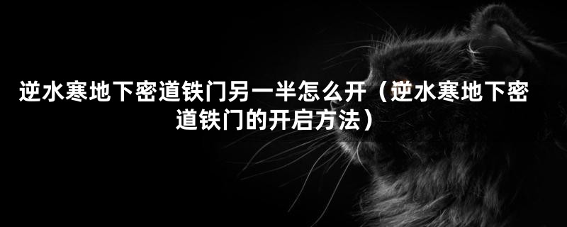 逆水寒地下密道铁门另一半怎么开（逆水寒地下密道铁门的开启方法）