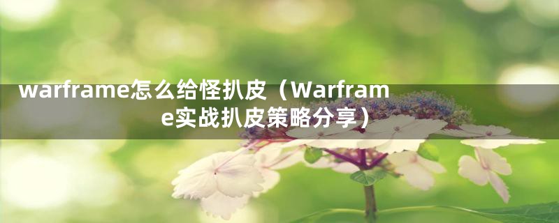 warframe怎么给怪扒皮（Warframe实战扒皮策略分享）