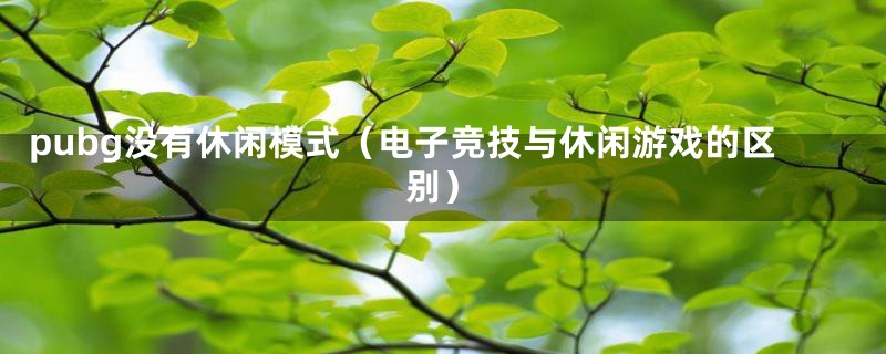 pubg没有休闲模式（电子竞技与休闲游戏的区别）