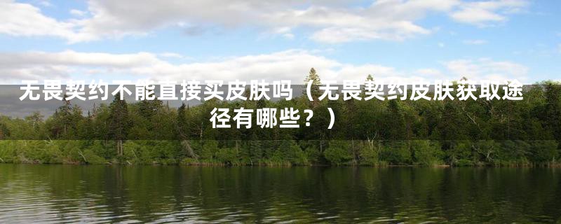 无畏契约不能直接买皮肤吗（无畏契约皮肤获取途径有哪些？）